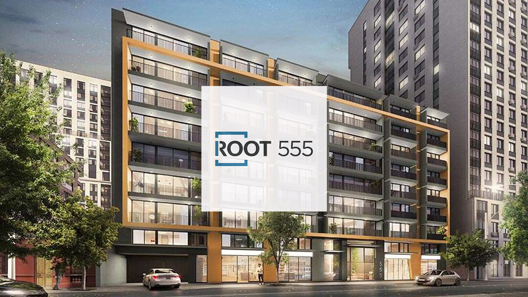Lee más sobre el artículo Root 555